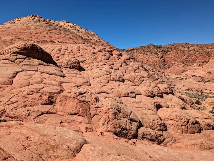 Beaucoup de brainrocks