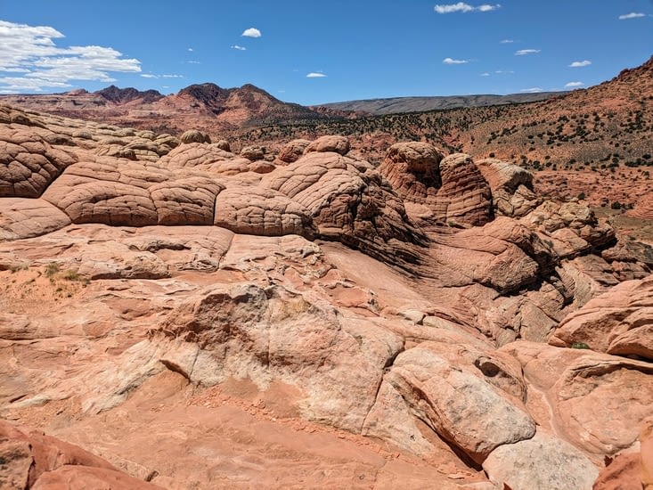 Encore des brainrocks