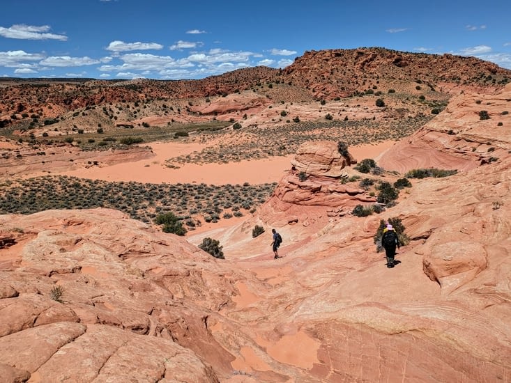 Sur le chemin du retour