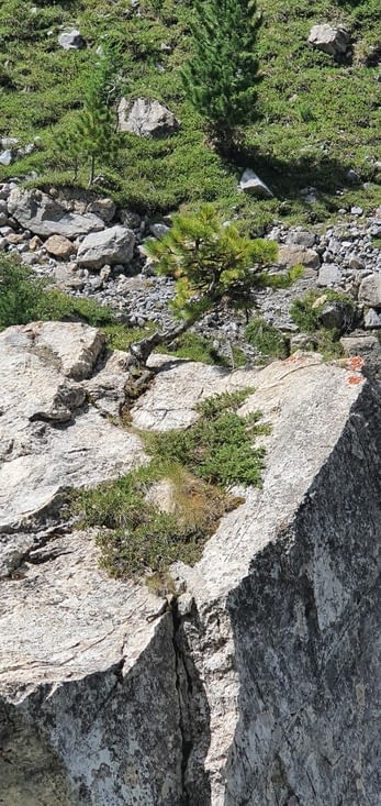 "Miyagi" l'autre côté