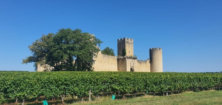 Landiras - ancien château 2