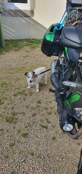 Et le chien qu'elle garde