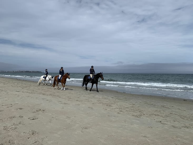 Horses on the beach : so romantic…