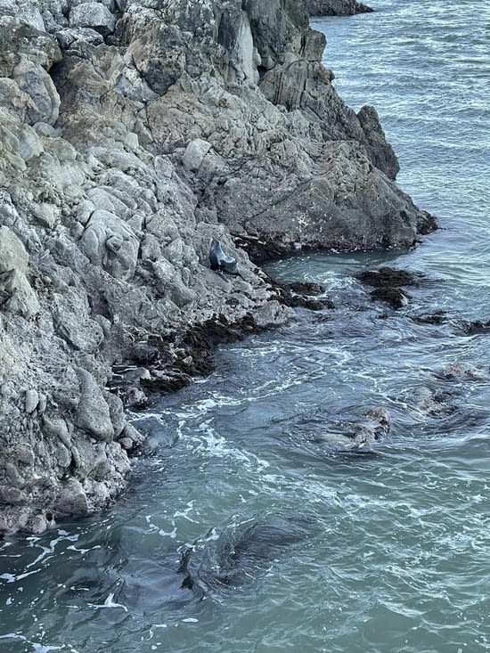 Les surprises inattendues!