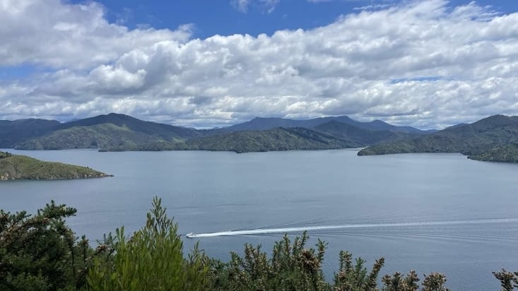 Du ferry, une vue juste incroyable en arrivant sur l'île du sud