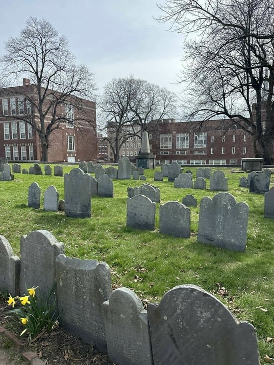 Visit of witches town