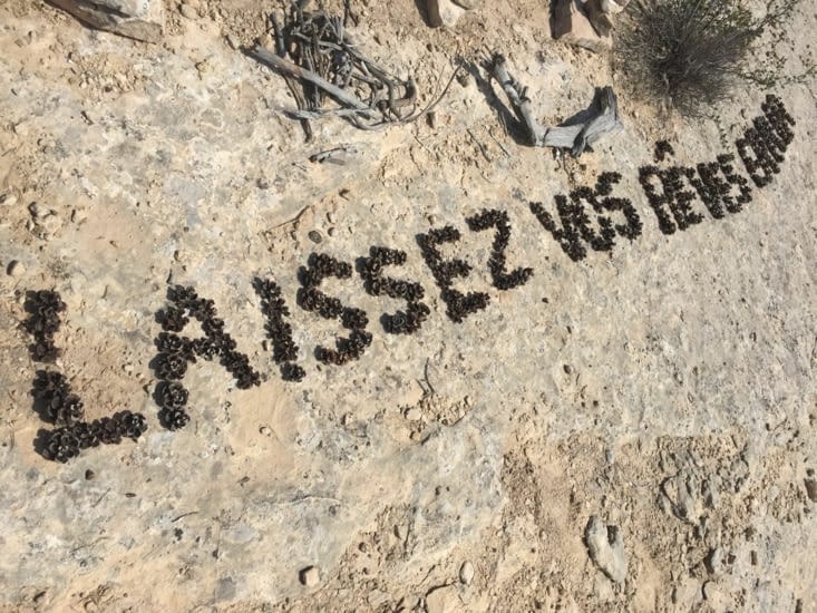 Laissez vos rêves errer...