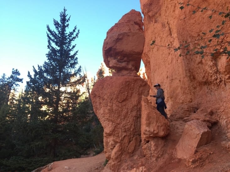 Les fameux hoodos taillés par les conditions climatiques du lieu