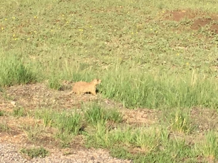 Sur le chemin de retour,