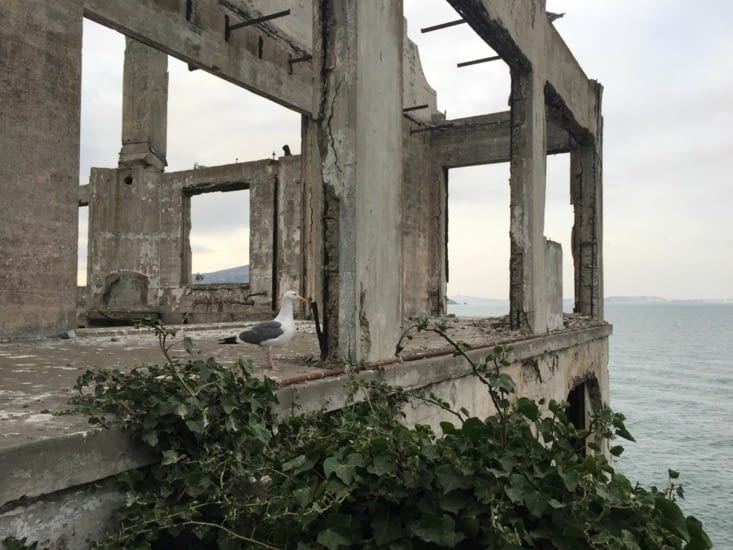 Arrivée sur l'île d'Alcatraz