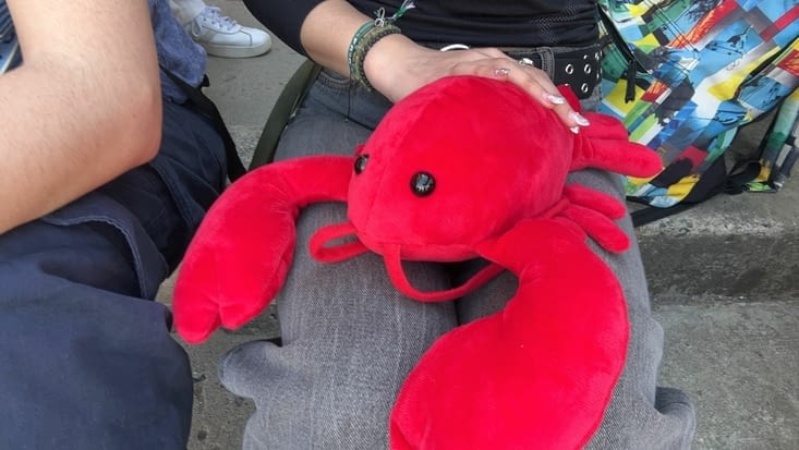 I BOUGHT A LOBSTER