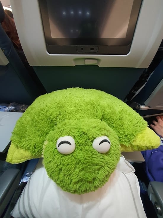 Froggie in the plane