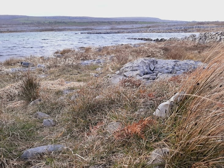 En fin de rando, superbe lumière du soleil qui décline...