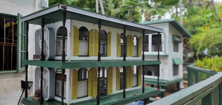 Maison d'hemingway: ici la maison des chats