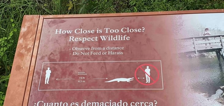 Attention aux recommandations!