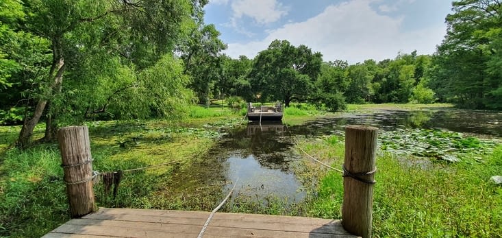 Le bayou et le traversier