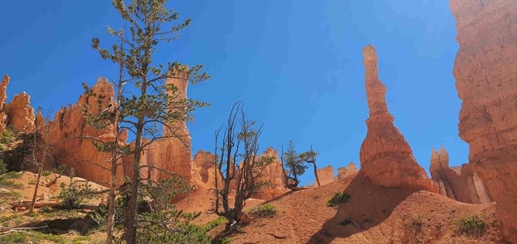 Un autre point de vue