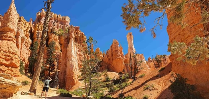 Victoria Queen Point