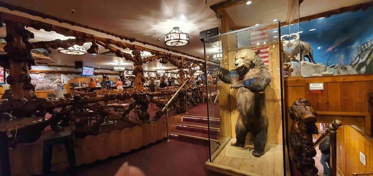 L'ours est l'emblème de la ville et il trône dans le bar