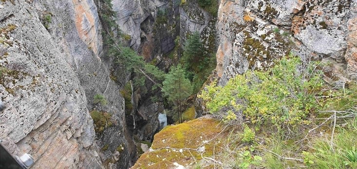 Le canyon de la Maligne