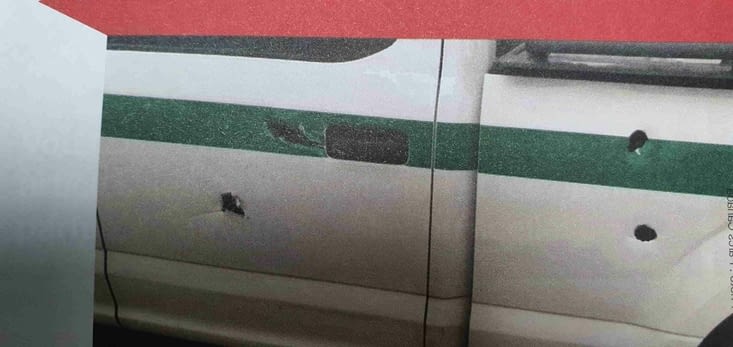 Les trous faits par un wapiti dépité en rut