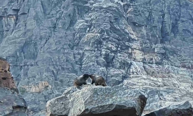 C'est pris de loin, mais elles avaient l'air de tellement s'aimer!