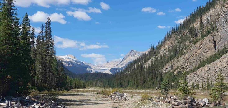 Vue sur les glaciers avant d'attaquer le sentier forestier