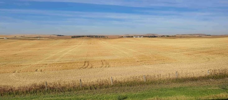 Le Saskatchewan un paysage agricole à perte de vue