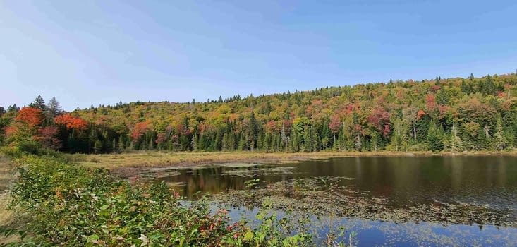 La balade au bord du lac