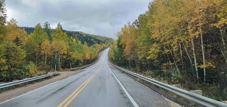 La route bordée de bouleaux jaunes