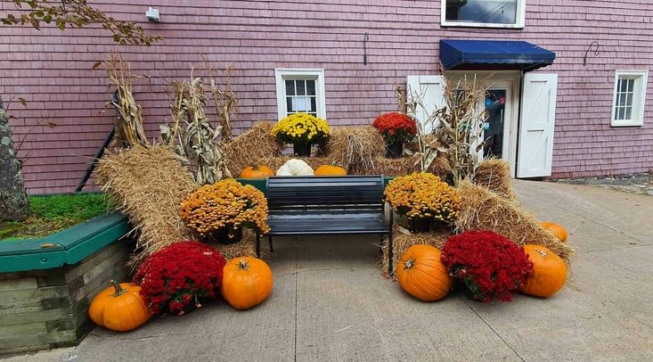 Toujours les décos halloween