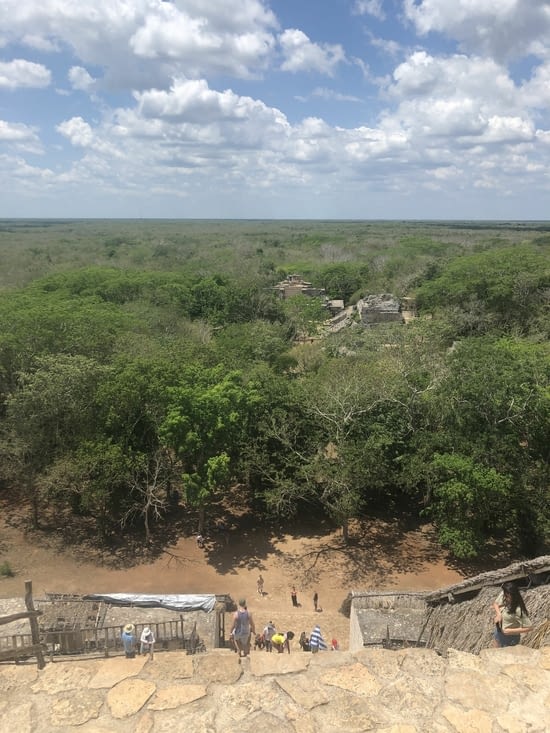 Vue depuis le plus haut temple