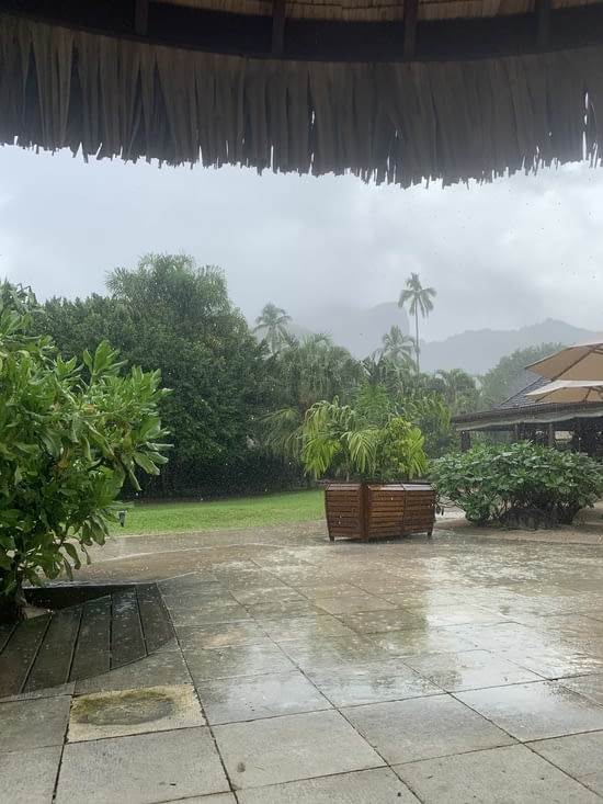 Petite pluie tropicale