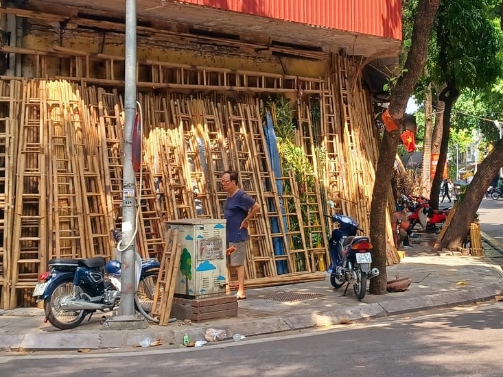 Des rues à thème, la rue des bambous