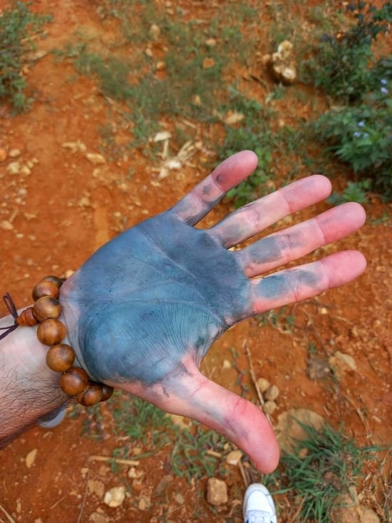 La main de Stef a été frottée par une plante qui leur sert de colorant pour les tissus