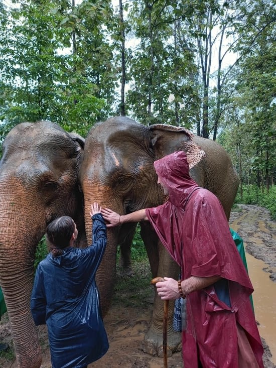 Au revoir l'éléphant, le contact avec la peau de l'animal est extraordinaire !