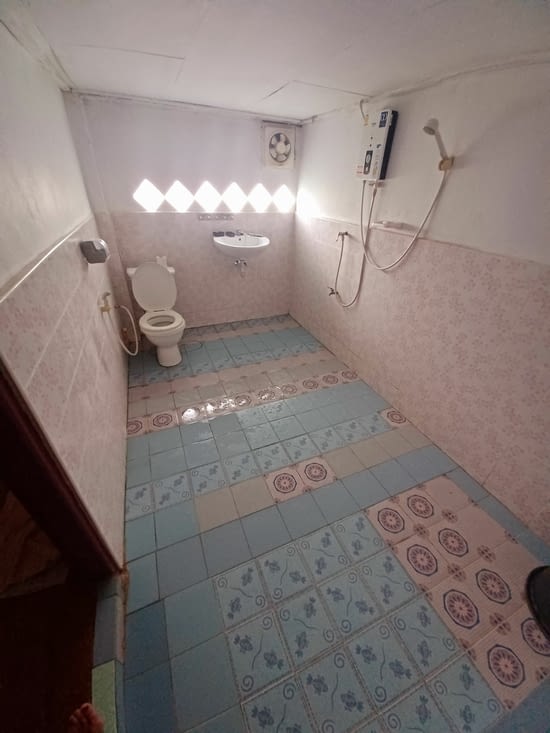 Côté pratique, en Asie ils installent dans la même pièce un lavabo, un WC une douche