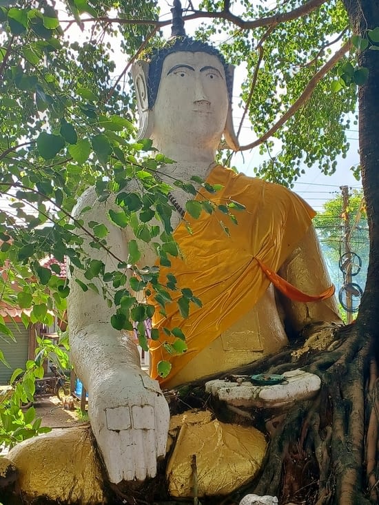Le Temple du Bouddha dans l'arbre