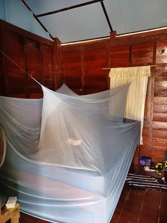 Moustiquaire géante obligatoire....