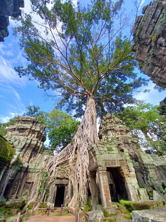 Le Ta Phrom est aussi appelé Temple Tomb Raider