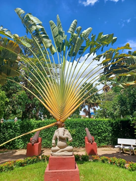 Ganesh sous les palmiers