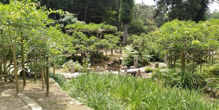 Le jardin des glycines