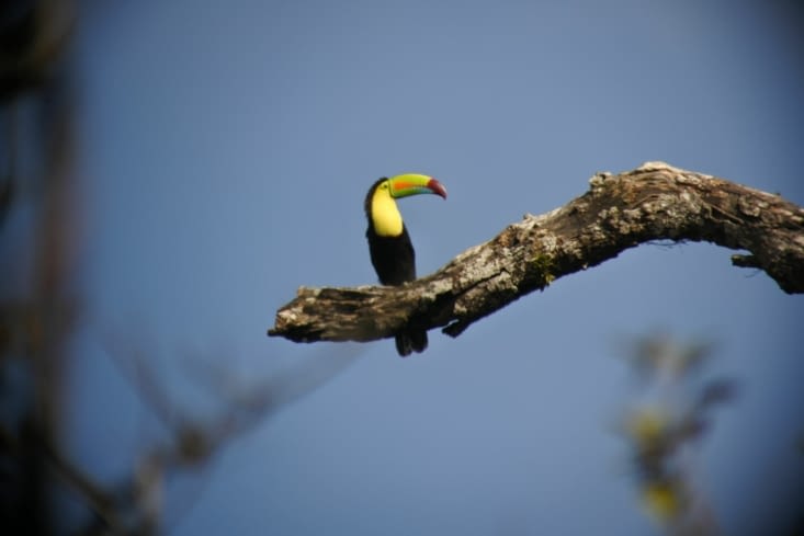Une matinée de randonnée