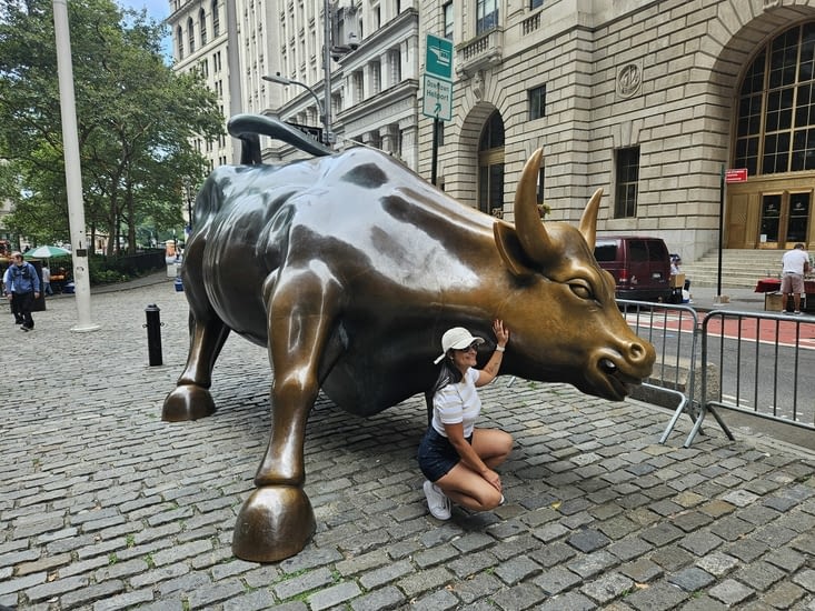 The Charging bull