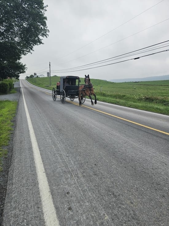 Bienvenue chez les Amish