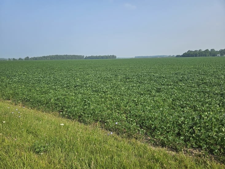 Des records de surfaces cultivées