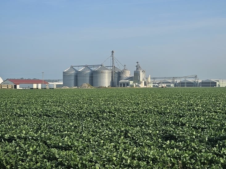 Ça continue avec des hectares de zones céréalieres