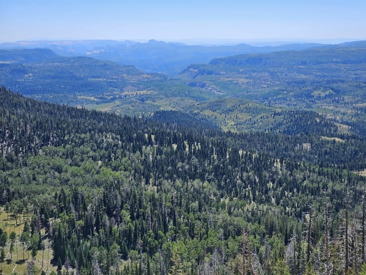 La Dixie National Forest est immense
