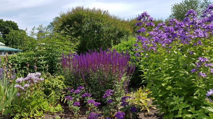 103 hectares au coeur de la ville