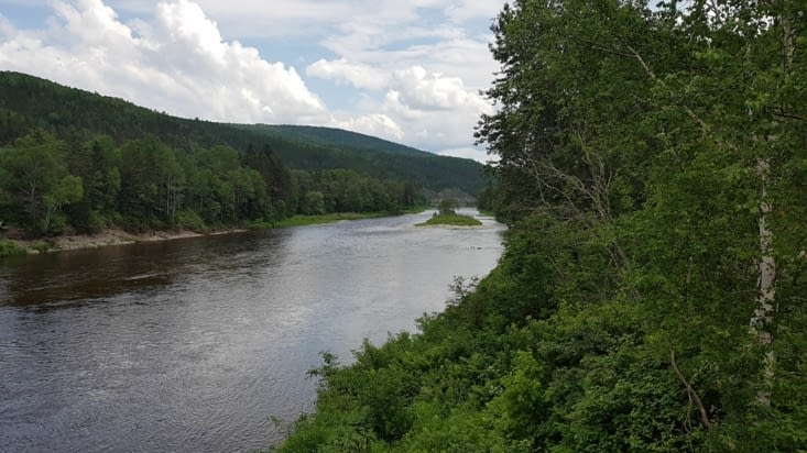 Au bord de la rivière à saumons